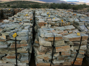 Ledger 2” - 5” - Vista Cloud